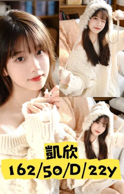 台中外送茶-凱欣/162/50/22/D