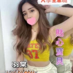 台中外送茶-羽棠/160/42/21/C