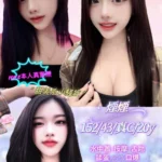 新北定點茶-煙煙/152/43/20/C