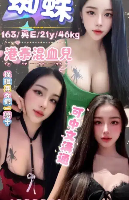 台北定點茶-蜘蛛/163/46/21/E