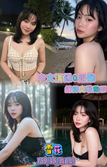 新北定點茶-雪花/159/45/23/C