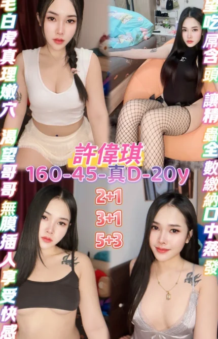 桃園定點茶-許偉琪/160/45/20/D