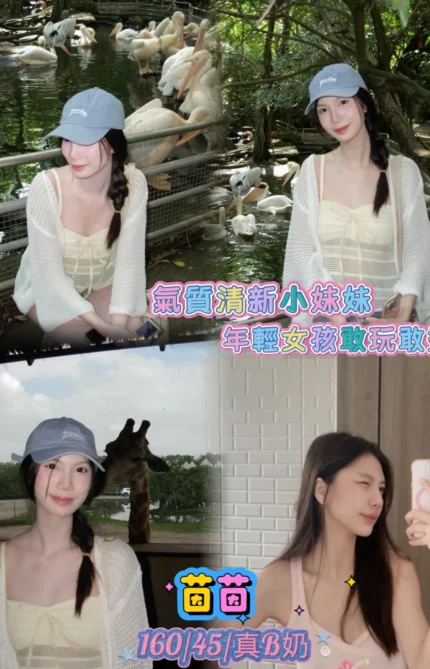 新北定點茶-茵茵/160/45/21/B