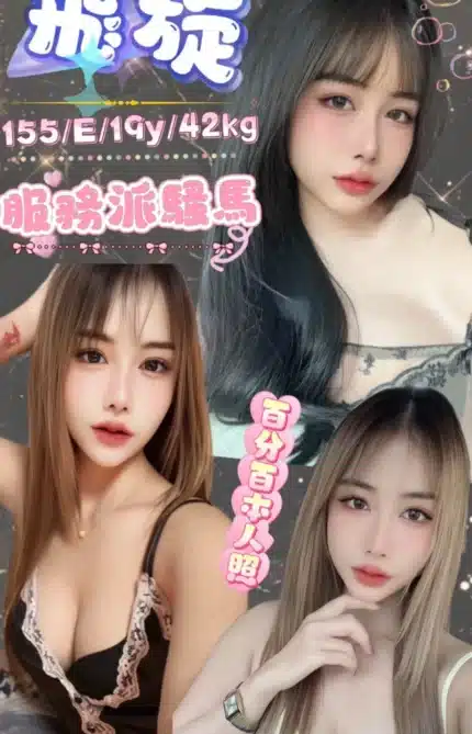 台北定點茶-飛旋/155/42/19/E