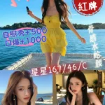 高雄外送茶-星星/167/46/21/C