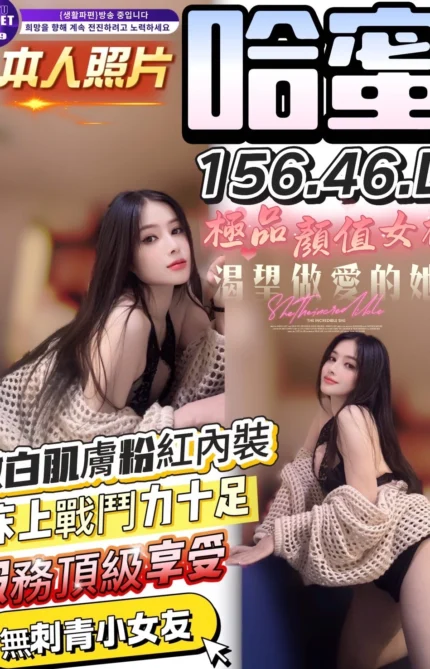 台中定點茶-哈蜜/156/46/?/D