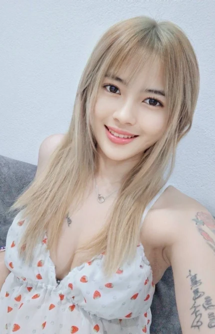 桃園定點茶-甜媛/155/42/22/D