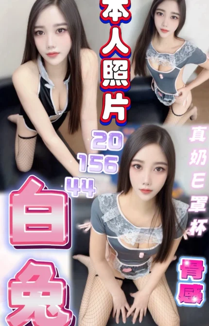 桃園定點茶-白兔/156/44/20/E