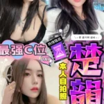 台中定點茶-楚韻/164/47/?/F