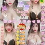 新竹定點茶-米蕾/160/43/22/E