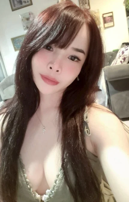 新北定點茶-月亮/155/42/22/D