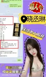 新竹定點茶-晓丞琳/160/43/20/D