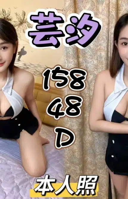 新北定點茶-芸汐/158/48/?/D