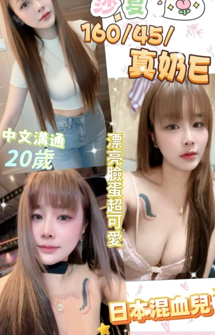 南投定點茶-莎夏/160/45/20/F