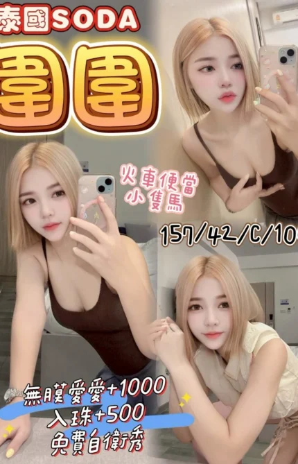 桃園定點茶-圍圍/157/42/?/C