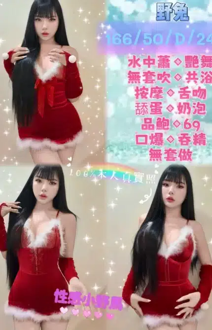 新北定點茶-野兔/166/50/24/D