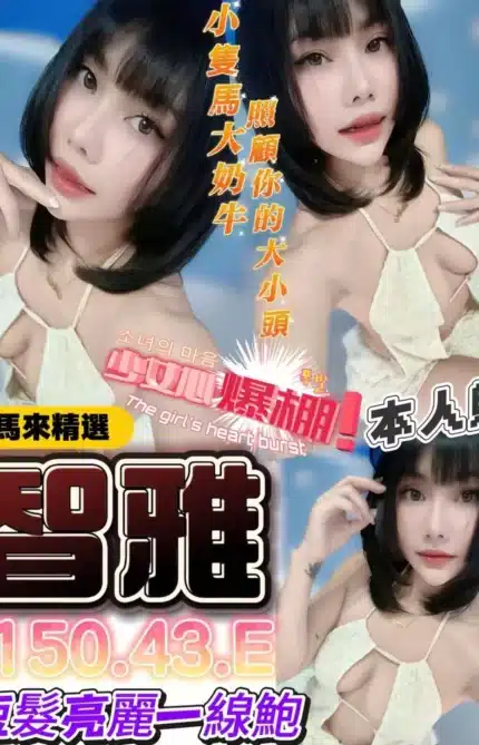 台中定點茶-智雅/150/43/?/E