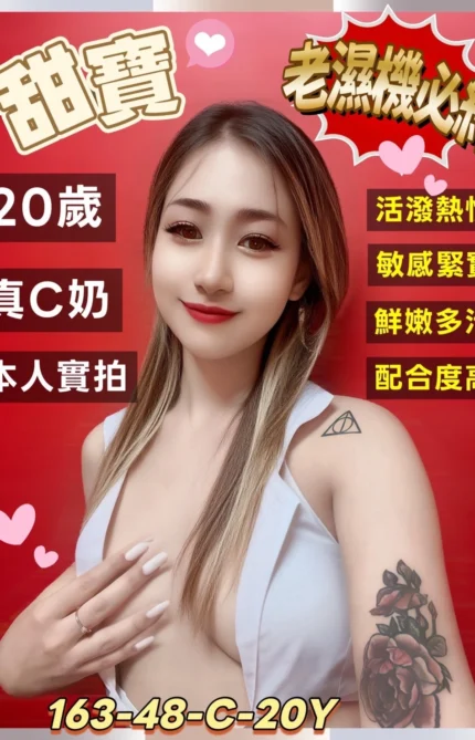 台南定點茶-甜寶/163/48/20/C