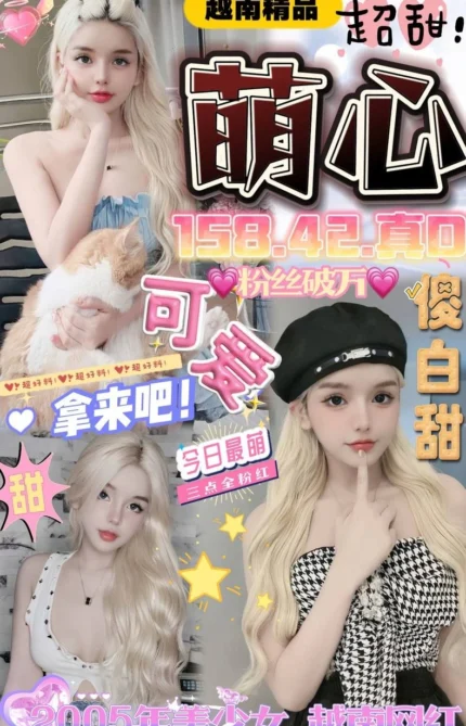 台中定點茶-萌心/158/42/?/D