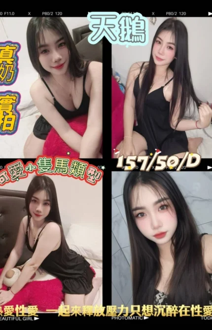 屏東外送茶-天鵝/157/50/?/D