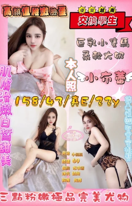 新竹定點茶-小布蕾/158/43/22/E