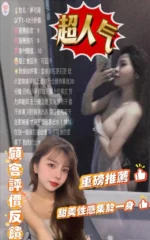 雲林定點茶-夢可薇/156/45/?/E