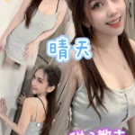 台北定點茶-晴天/161/45/21/D