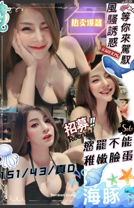 新竹定點茶-海豚/151/43/?/D