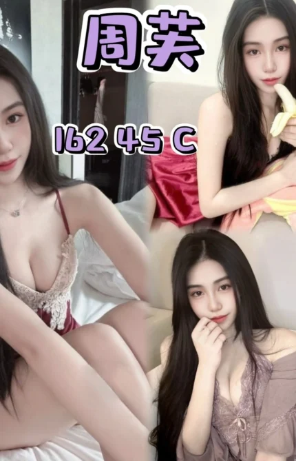 新北定點茶-周芙/162/45/?/C