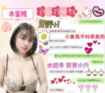 台中定點茶-水蜜桃/153/45/22/E