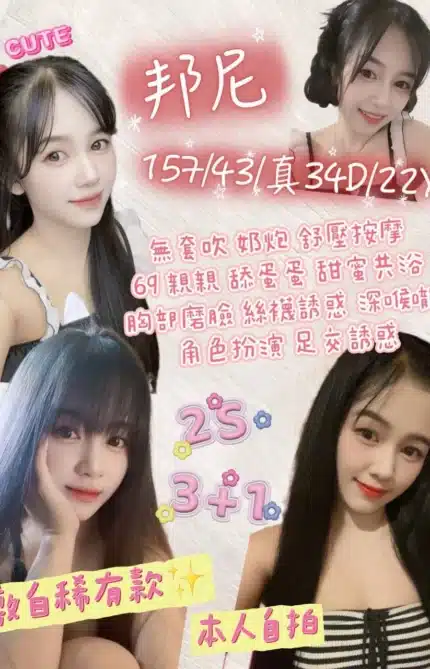 桃園定點茶-邦尼/157/43/22/D