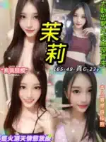台北定點茶-茉莉/165/49/23/C