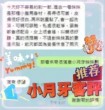 南投定點茶-小月牙/163/45/?/C