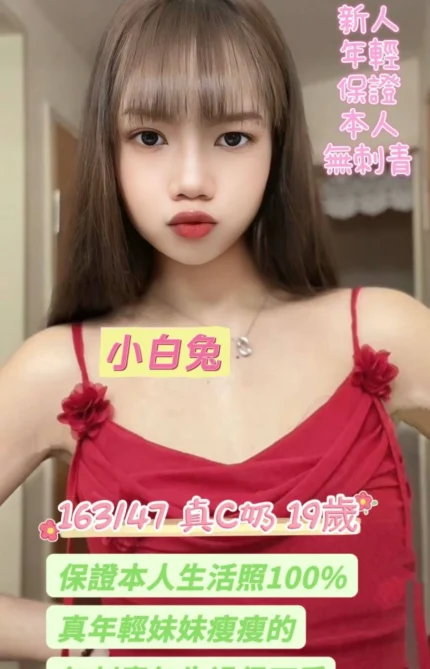 台南定點茶-小白兔/163/47/19/C