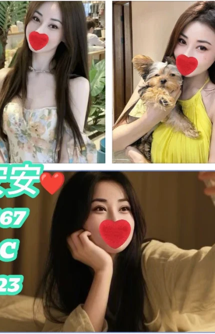 新北定點茶-安安/167/50/23/C