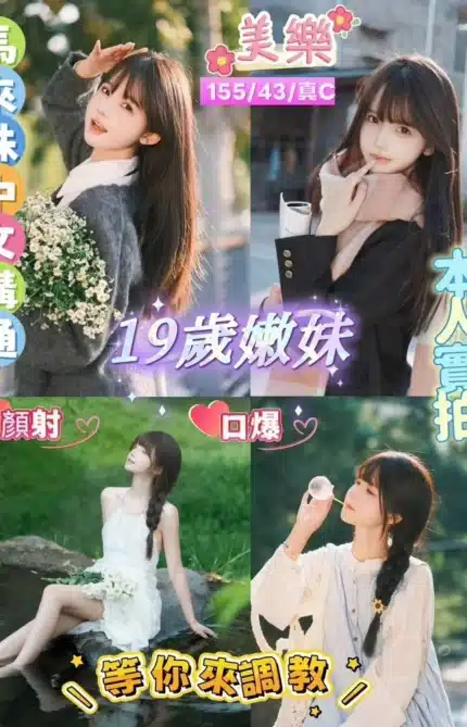 桃園定點茶-美樂/155/43/19/C