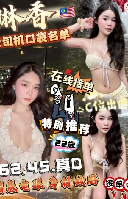 台中定點茶-琳香/162/45/22/D