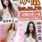 苗栗定點茶-小鹿/160/48/?/C