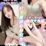 新北定點茶-梨花/162/48/22/C