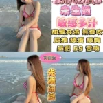 台北定點茶-奶茶/156/42/23/D