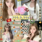 新北定點茶-豆豆/160/48/20/D