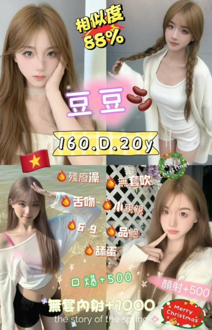 新北定點茶-豆豆/160/48/20/D