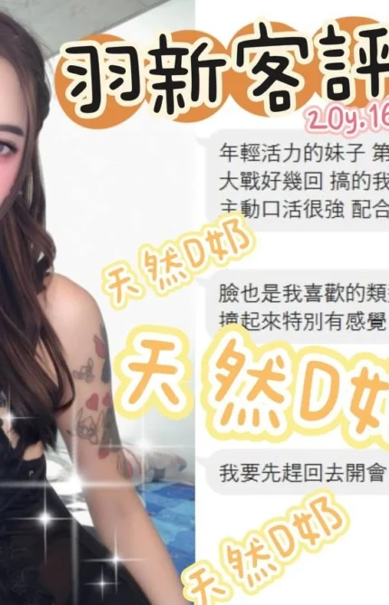 桃園定點茶-羽新/160/43/20/D