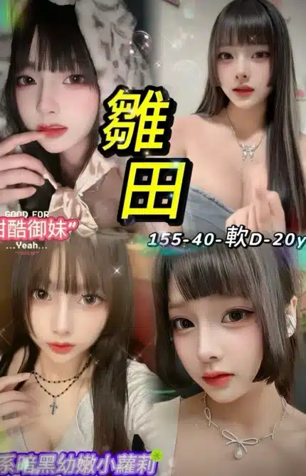 台北定點茶-雛田/155/40/20/D