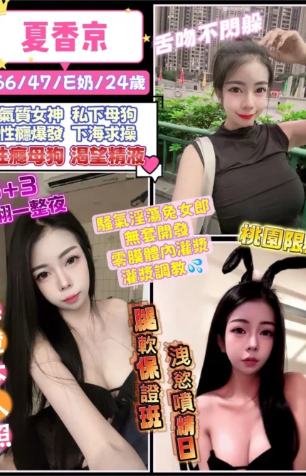 桃園定點茶-夏香京/166/47/24/E