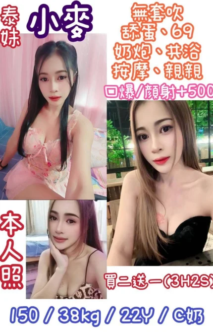 台北定點茶-小麥/150/38/22/C