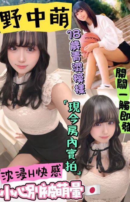 台中定點茶-野中萌/163/45/24/E