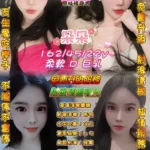 桃園定點茶-朵朵/162/45/22/D