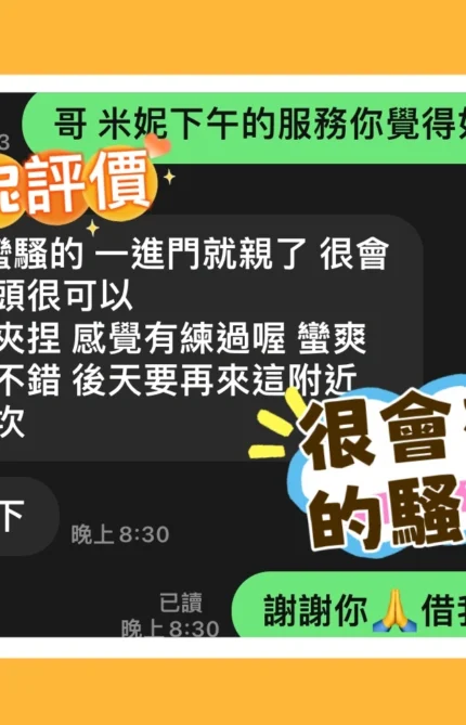 台中定點茶-米妮/160/45/27/C