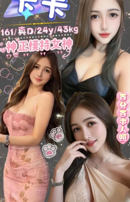 台北定點茶-卡卡/161/43/24/D